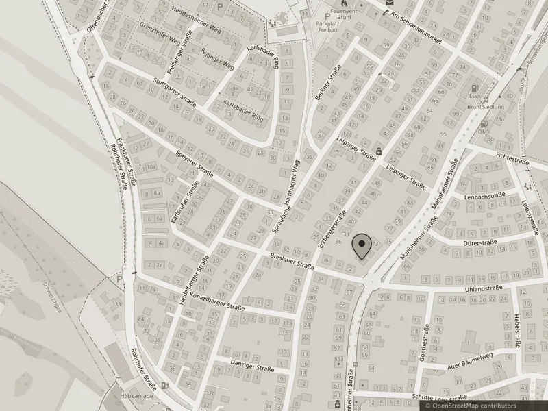 Kartenausschnitt Mannheimer Straße 69, 68782 Brühl
